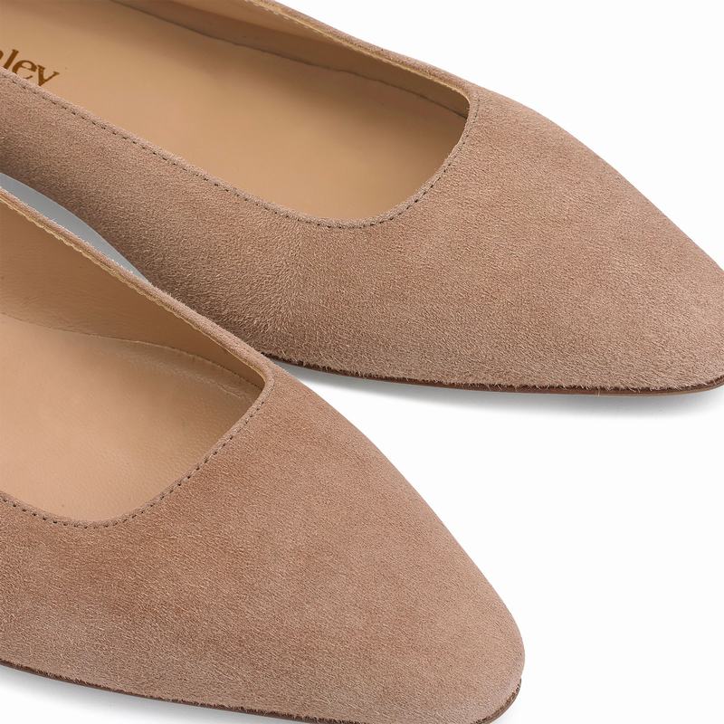 Russell And Bromley Impression Balletsko Dame Brune | WAE2416XX