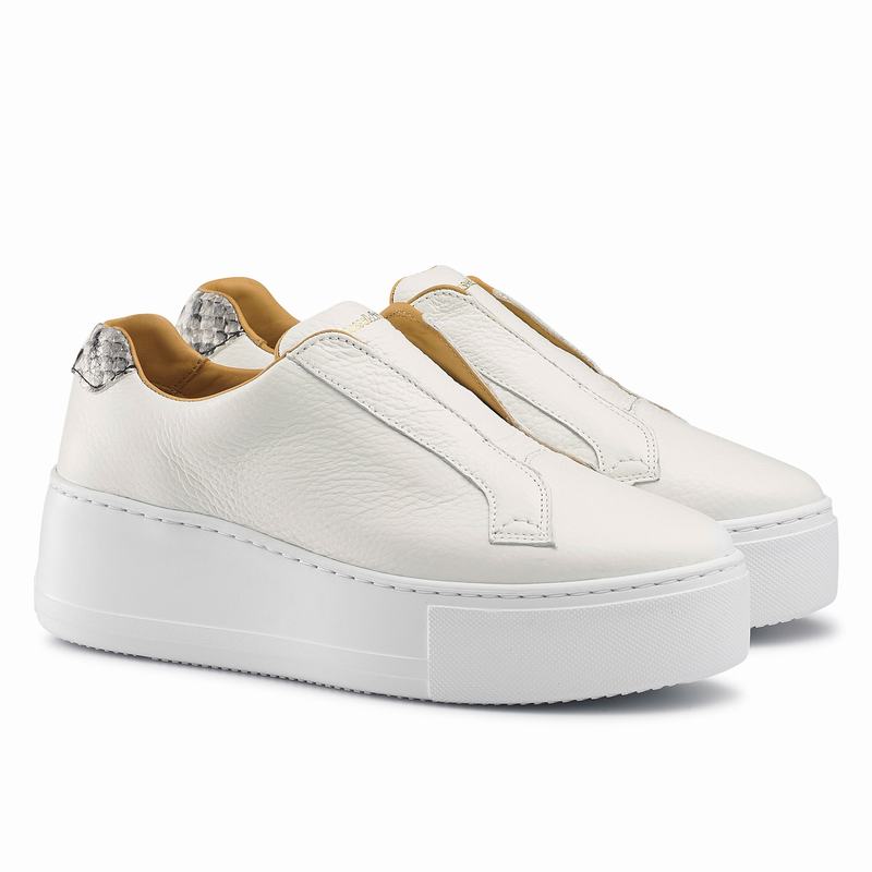 Russell And Bromley Park Up Platform Sneakers Dame Hvide | CMO9911YI