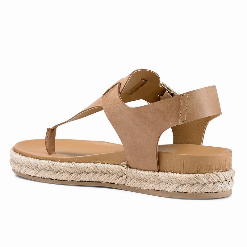 Russell And Bromley Surfside Espadrillos Dame Brune | QBG3952OT