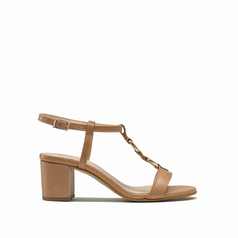 Russell And Bromley Triumph Sandaler med Hæl Dame Brune | SJY8050OE